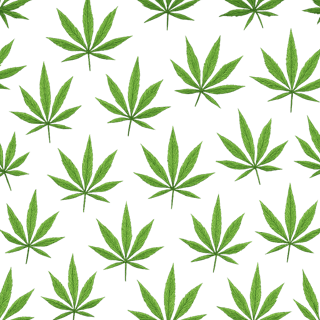 420 Canada cover image