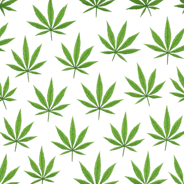 420 Canada cover image