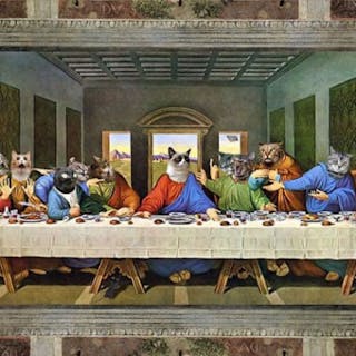 AskDigg (Einstein's Version) cover image