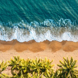 beachlife cover image