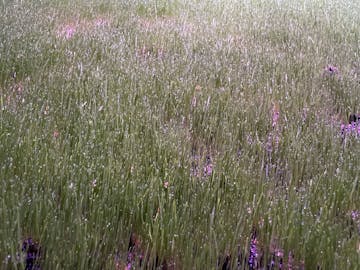 Bible study cover image