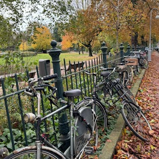 Bicycles cover image