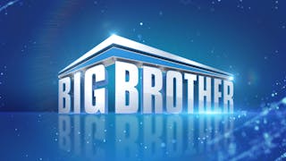 Big Brother cover image