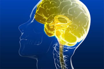 Bipolar-II cover image