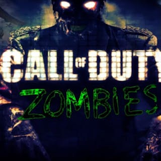 Call of Duty Zombies cover image