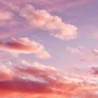 Calm Mental Health cover image