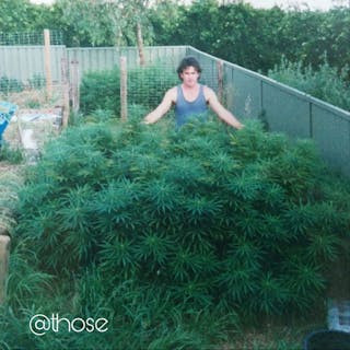 Cannabis cover image