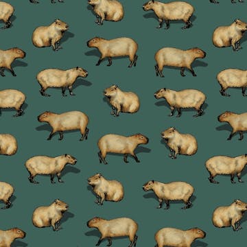 Capybara cover image