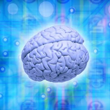 CommonSense cover image