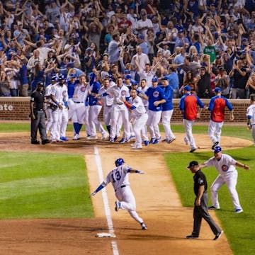 Cubs cover image
