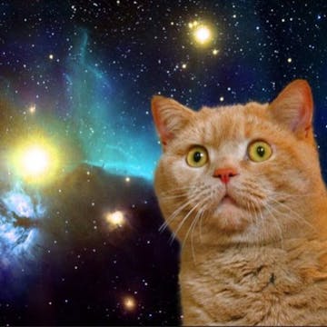 Dank Memes cover image