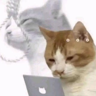 desihiphop cover image