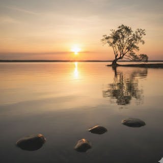 eulogies cover image