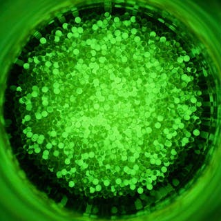 Glow In The Dark cover image