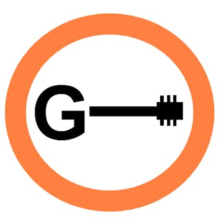 Guitarist cover image