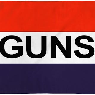 Guns cover image