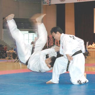 hapkido cover image