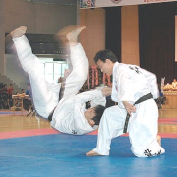 hapkido cover image