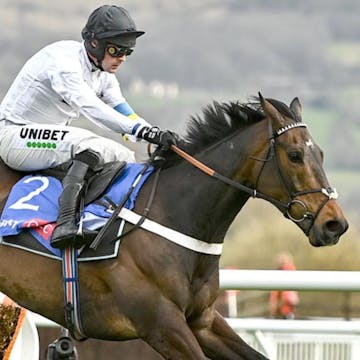 Horse Racing Tips and Bets cover image