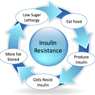 Insulin Resistance cover image