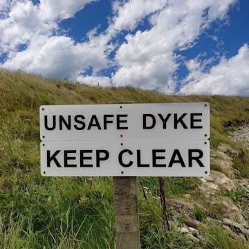 lesbians cover image