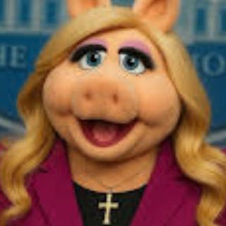 magasOfDigg cover image