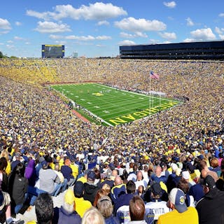 Michigan Wolverines cover image