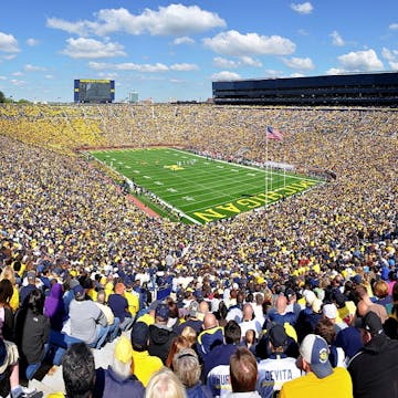 Michigan Wolverines cover image