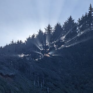 Nature4k cover image