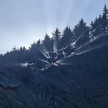 Nature4k cover image