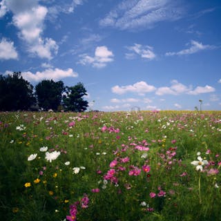 Nature Photography cover image