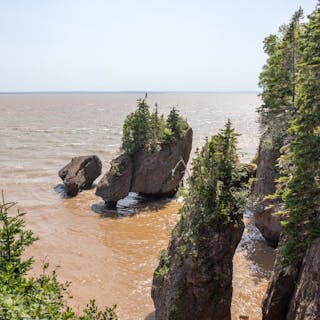 New Brunswick cover image