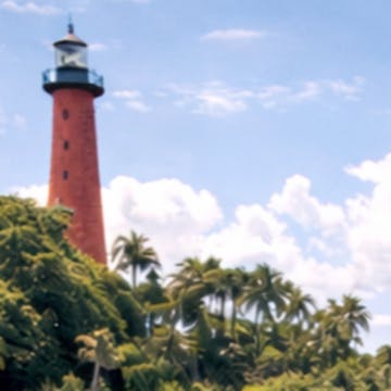 paddleboardflorida cover image