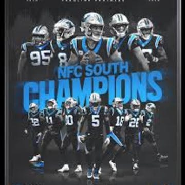 Panthers cover image