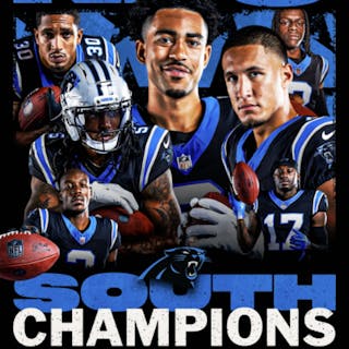 Panthers cover image