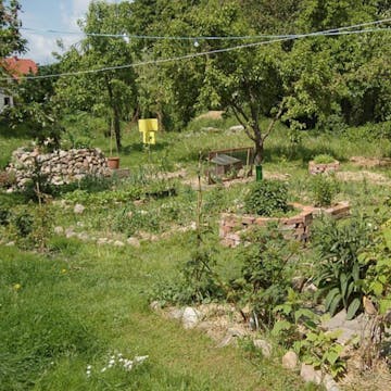 Permaculture cover image