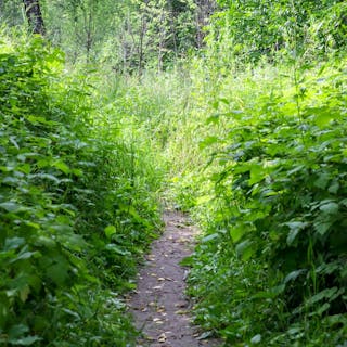 Personal Development cover image