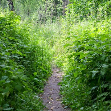 Personal Development cover image