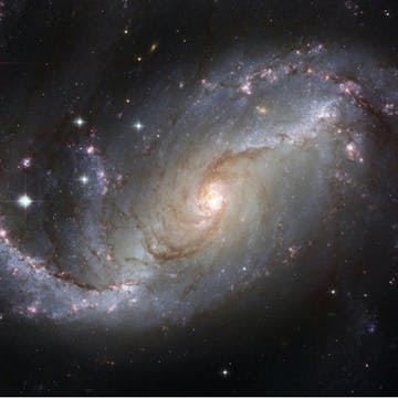 Plotinian Platonist Philosophy cover image