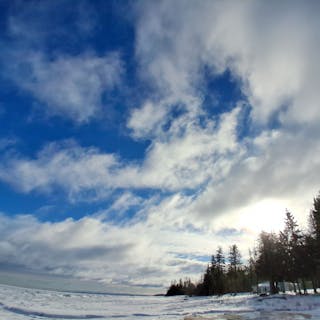 snakewasp cover image