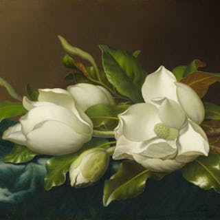 Soft Space Society cover image