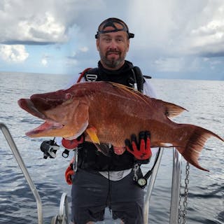 Spearfishing cover image