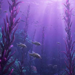 SpeculativeEvolution cover image