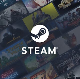 Steam cover image