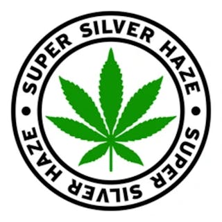 Super Silver Haze cover image