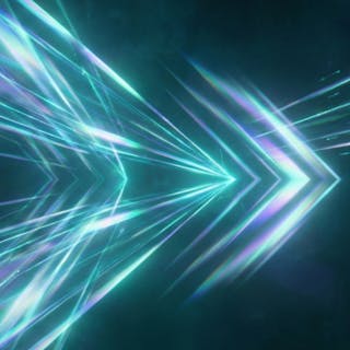 The New New cover image