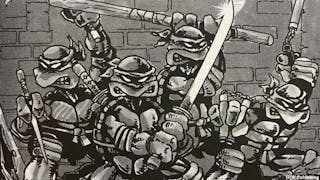 TMNT cover image