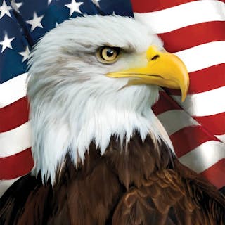 United States cover image