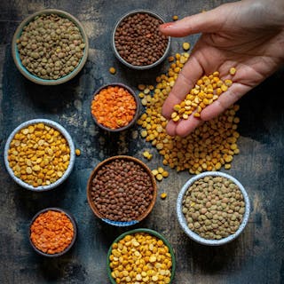 Vegetarian cover image