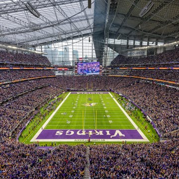 Minnesota Vikings cover image